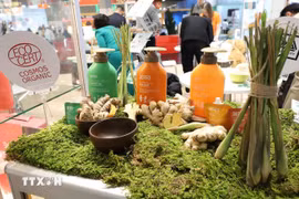 Produits de shampoing bio de l’entreprise vietnamienne Co Cay Hoa La présentés au salon Biofach 2025. Photo : VNA