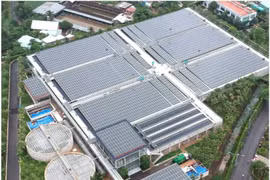 Les panneaux solaires sur les toits de l'usine d'épuration des eaux du canal Tham Luong-Bên Cat. Photo: sggp.org.vn