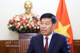 Le vice-ministre vietnamien des Affaires étrangères, Nguyên Manh Cuong. Photo : VNA