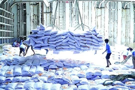 Les prix du riz vietnamien ont grimpé pour redevenir les plus élevés du monde. Photo; VNA