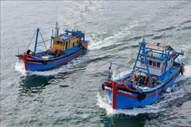 Deux bateaux de pêche partant au large. Photo : VNA