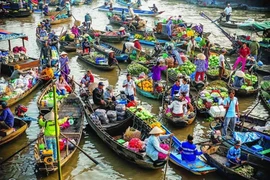 Can Tho est l'âme vibrante du delta du Mékong au Vietnam, un lieu où l'eau est omniprésente, des marchés flottants aux maisons sur pilotis, en passant par les bateaux de riz et les temples au bord du fleuve. Photo : Vietnam Travellog
