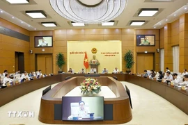 Une réunion du Comité permanent de l’Assemblée nationale. Photo: VNA