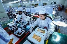 Le développement de la science et de la technologie, l’innovation et la transformation numérique sont devenus le facteur décisif du développement des pays. Photo d’illustration. Photo : VNA