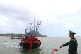Quang Ngai renforce la lutte contre la pêche INN en vue du retrait de l’avertissement de "carton jaune" sur les exportations de produits aquatiques vietnamiens. Photo: VNA