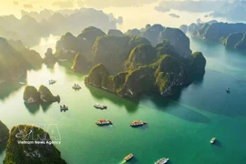 Décrite par le poète Nguyên Trai comme une "Merveille de la terre qui s’élance vers le ciel", la baie de Ha Long a été inscrite sur la liste du patrimoine naturel mondial de l’UNESCO la première fois en 1994 pour son paysage exceptionnel, puis de nouveau en 2000 pour sa valeur géologique et géomorphologique. Photo : VNA