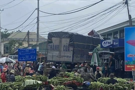 Un grave accident de la circulation s'est produit dans le village de Long Hop, commune de Lao Bao, province de Quang Tri, lorsqu'une voiture s’est enfoncée dans le marché de Tân Long, tuant trois personnes et en blessant grièvement de nombreuses autres. Photo : VNA