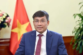 Le vice-ministre permanent des Affaires étrangères Nguyên Minh Vu. Photo : VNA