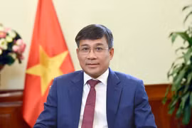 Le vice-ministre permanent des Affaires étrangères Nguyên Minh Vu. Photo : VNA