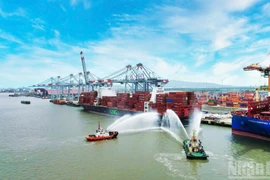 Vue panoramique du complexe portuaire de Cai Mep-Thi Vai, l'un des plus grands complexes portuaires en eau profonde d'Asie du Sud-Est. Photo : NDEL