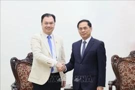 Le vice-Premier ministre Bui Thanh Son (à droite) serre la main de Kounlaphanh Vongnathy, vice-président du groupe Phongsupthavy. Photo : VNA