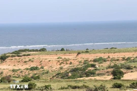 Le site choisi pour la construction de la centrale nucléaire de Ninh Thuân 1, dans la commune de Phuoc Dinh. Photo : VNA
