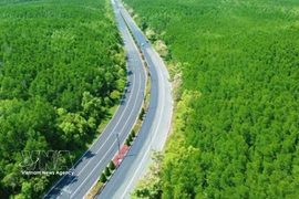 Avec un parcours "touchant la mer et traversant la forêt" et la participation de partenaires de mobilité verte tels que VinFast et Xanh SM, le VnExpress Marathon Green Paradise Cân Gio est la course présentant le parcours le plus écologique du système VnExpress Marathon. Photo : VNA