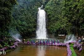 La cascade de Pa Sy à Măng Đen est un site touristique très prisé. Photo : tcdulichtphcm.vn