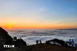 Les touristes viennent chasser les nuages sur le plateau de Dông Cao. Photo : VNA