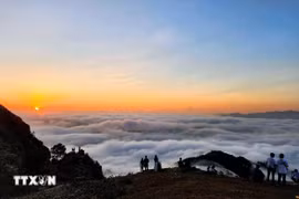 Les touristes viennent chasser les nuages sur le plateau de Dông Cao. Photo : VNA