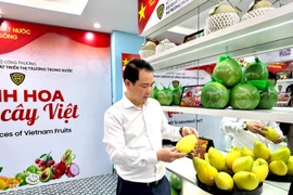 L'événement «Quintessence des fruits vietnamiens» met en avant les fruits typiques des différentes régions du Vietnam. Photo : VNA