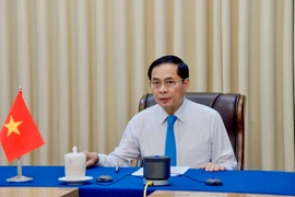 Le vice-Premier ministre et ministre des Affaires étrangères, Bui Thanh Son, lors de son entretien téléphonique avec le ministre allemand des Affaires étrangères, Johann Wadephul, le 2 juin. Photo : VNA