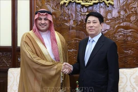 Le président Luong Cuong (à droite) serre la main de l’ambassadeur d’Arabie saoudite, Mohammed Ismaeil A. Dahlwy, à Hanoi, le 31 décembre. Photo: VNA