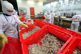 Transformation des produits aquatiques destinés à l'exportation chez la société par actions des produits aquatiques Cafatex Hau Giang. Photo : NDEL