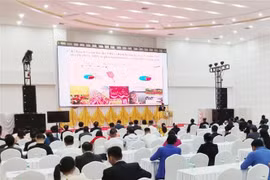 Vue du Forum de promotion du commerce, de l’investissement et du tourisme : Promotion du corridor économique Est-Ouest et le Salon du commerce et du tourisme 2025. Photo: VNA