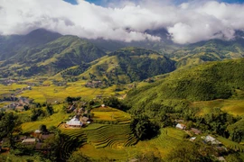 Niché dans une vallée verdoyante, le village de Ta Van offre une escapade sereine aux voyageurs en quête d’une ambiance montagnarde authentique. Photo : SCMP
