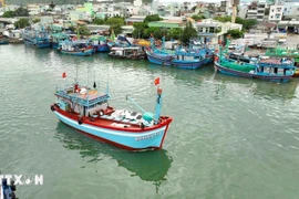 La province de Gia Lai a pris des mesures drastiques pour lutter contre la pêche illicite, non déclarée et non réglementée. Photo : VNA
