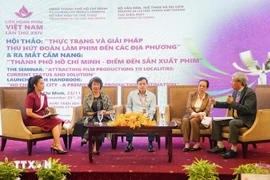 Présence des experts au séminaire organisé à Hô Chi Minh-Ville, le 23 novembre. Photo : VNA