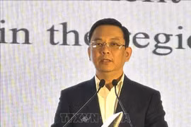 Le vice-président de la VUFO, Dong Huy Cuong. Photo: VNA