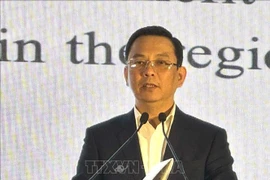 Le vice-président de la VUFO, Dong Huy Cuong. Photo: VNA