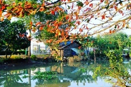Le village ancien de Dông Hoa Hiêp niché au milieu de vergers verdoyants. Photo : baochinhphu.vn