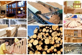 Le bois et les produits dérivés figurent parmi les principaux secteurs d'exportation, générant chacun plus de 10 milliards de dollars américains au cours des 11 derniers mois de l'année. Photo : VNA