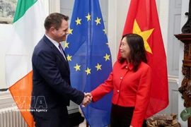 La vice-ministre des Affaires étrangères, Lê Thi Thu Hang (à droite) et le ministre d’État irlandais au ministère des Affaires étrangères et du Commerce, Neale Richmond, se serrent la main. Photo : VNA