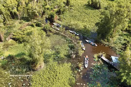 Vue aérienne d’une partie de la forêt de cajeputiers de Trà Su. Photo : VNA