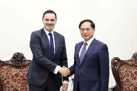 Le vice-Premier ministre et ministre des Affaires étrangères, Bui Thanh Son (à droite) serre la main du ministre délégué auprès du ministre de l'Europe et des Affaires étrangères, chargé du Commerce extérieur et des Français de l’étranger, Laurent Saint-Martin. Photo : VNA