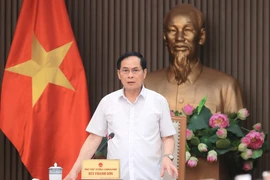 Le vice-Premier ministre et ministre des Affaires étrangères, Bui Thanh Son, s’exprime lors de la réunion. Photo : VNA