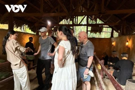 Des touristes étrangers visitent les tunnels de Cu Chi. Photo: VOV