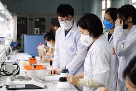 Activités de recherche des enseignants et des étudiants de l'Université nationale de Hanoi. Photo : NDEL