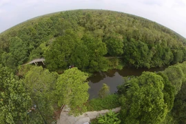 La Réserve naturelle de Lung Ngoc Hoàng, poumon vert du delta du Mékong. Photo: VNA