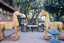 Figure symbolique de la vitalité, de la persévérance et de l’aspiration à la conquête, le cheval devient un point de rencontre culturel singulier entre l’univers des Hauts Plateaux du Centre et la cité impériale de Thang Long. Photos: Dân tri