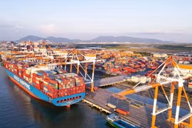 Le COSCO SHIPPING ROSE au port de Cai Mep-Thi Vai le 24 octobre 2023. Photo: VNP