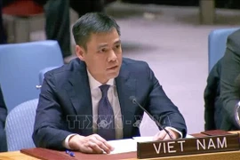 Le représentant permanent du Vietnam auprès des Nations Unies, l’ambassadeur Dang Hoàng Giang s’exprime devant le Conseil de sécurité de l’ONU, à New York. Photo: VNA