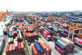 Les entreprises redoublent d’efforts pour mettre en œuvre des mesures adaptées et maintenir la dynamique d’exportation au 4e trimestre. Photo : VNA