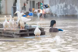 Inondations dans le quartier de Vân Hà, province de Bac Ninh, photos prises le 10 octobre. Photo : VNA
