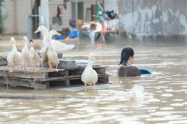 Inondations dans le quartier de Vân Hà, province de Bac Ninh, photos prises le 10 octobre. Photo : VNA