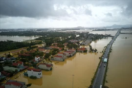La plupart des maisons dans la commune de Nông Công, dans la province de Thanh Hoa (Centre) ont été submergés par les eaux à cause de l'impact de la tempête Bualoi et des fortes pluies prolongées. Photo : VNA
