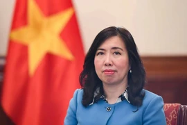 La vice-ministre des Affaires étrangères, Lê Thi Thu Hang. Photo : VNA