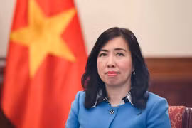 La vice-ministre des Affaires étrangères, Lê Thi Thu Hang. Photo : VNA
