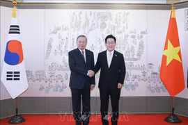Le secrétaire général du Parti communiste du Vietnam, Tô Lâm et le président sud-coréen Lee Jae Myung se serrent la main. Photo : VNA