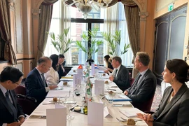La première consultation politique au niveau de vice-ministre entre le Vietnam et les Pays-Bas, à La Haye, aux Pays-Bas, le 11 juillet. Photo : VNA